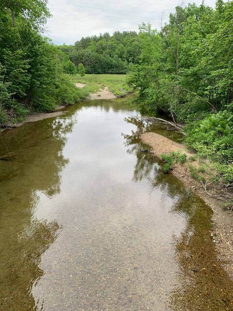 A lake seen through a gap in the trees along the Cockermouth Ledge Loop trail