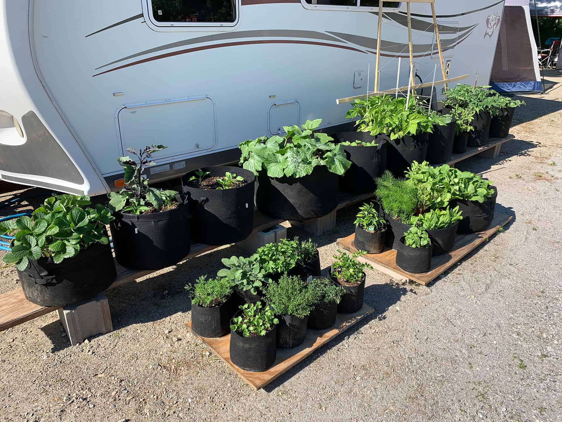 Rows of fabric grow-bag planters with young vegetable seedlings next to the RV