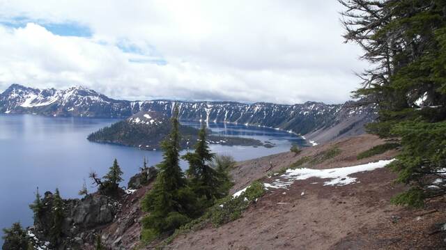 A view down a snow-dusted slope to Crater Lake and Wizard Island, framed by evergreens