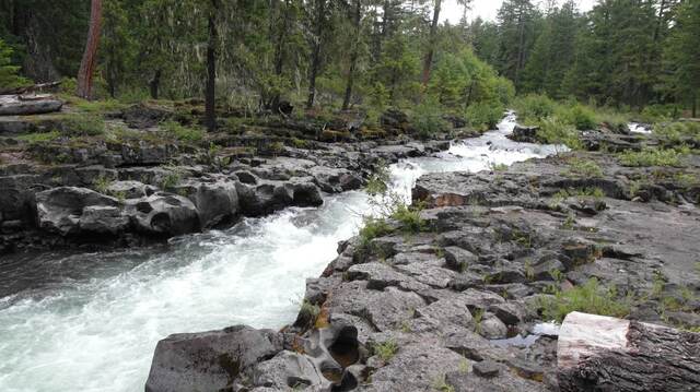 The Rogue River flowing swiftly over dark volcanic rock in a forested canyon