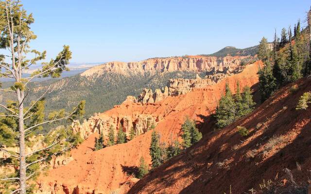 Black Birch Canyon - Bryce Canyon