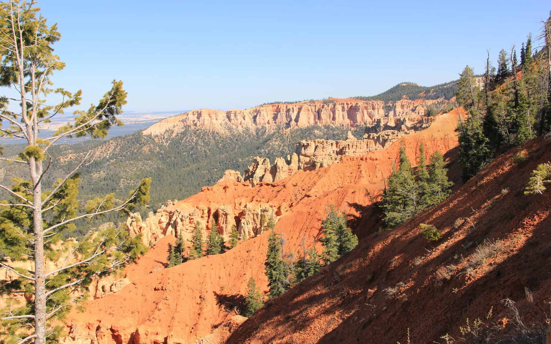 Black Birch Canyon - Bryce Canyon
