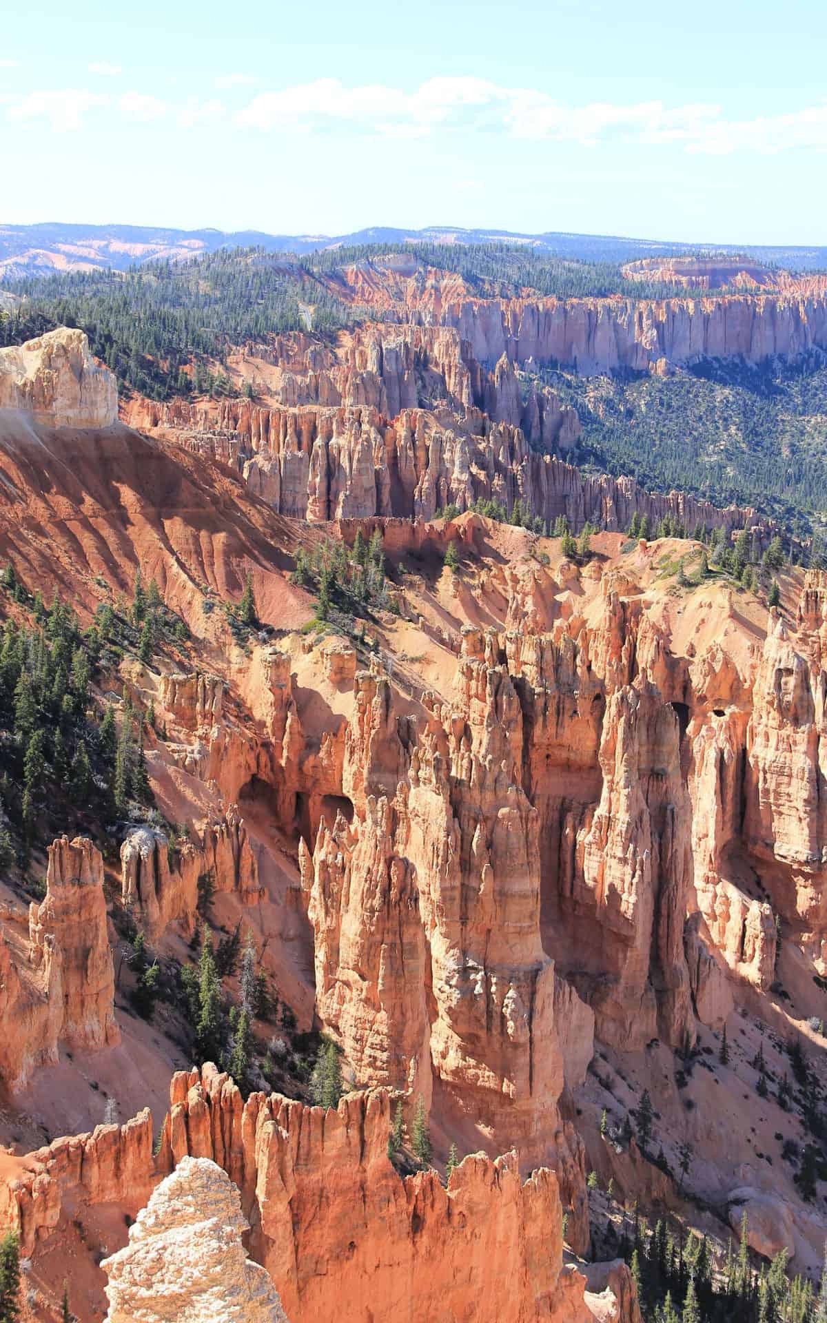 Rainbow Point - Bryce Canyon