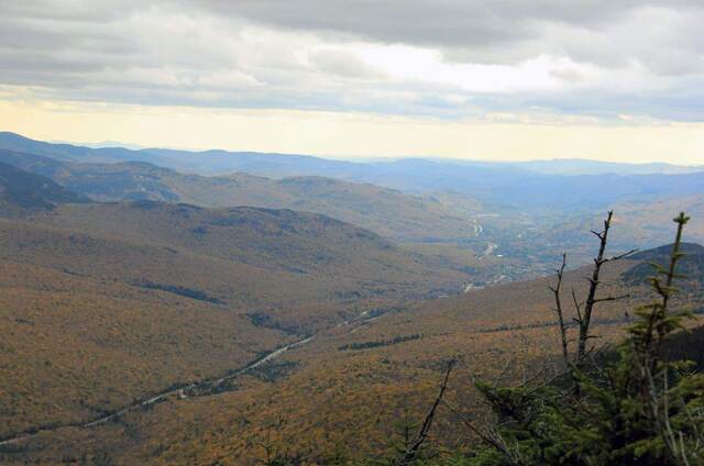A river winding through a fall-colored valley below, with a bare dead tree branch in the foreground