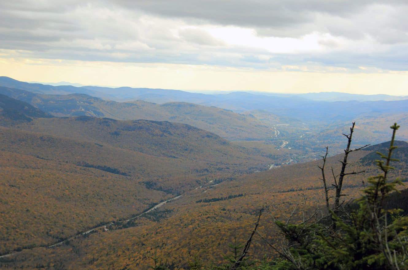 A river winding through a fall-colored valley below, with a bare dead tree branch in the foreground