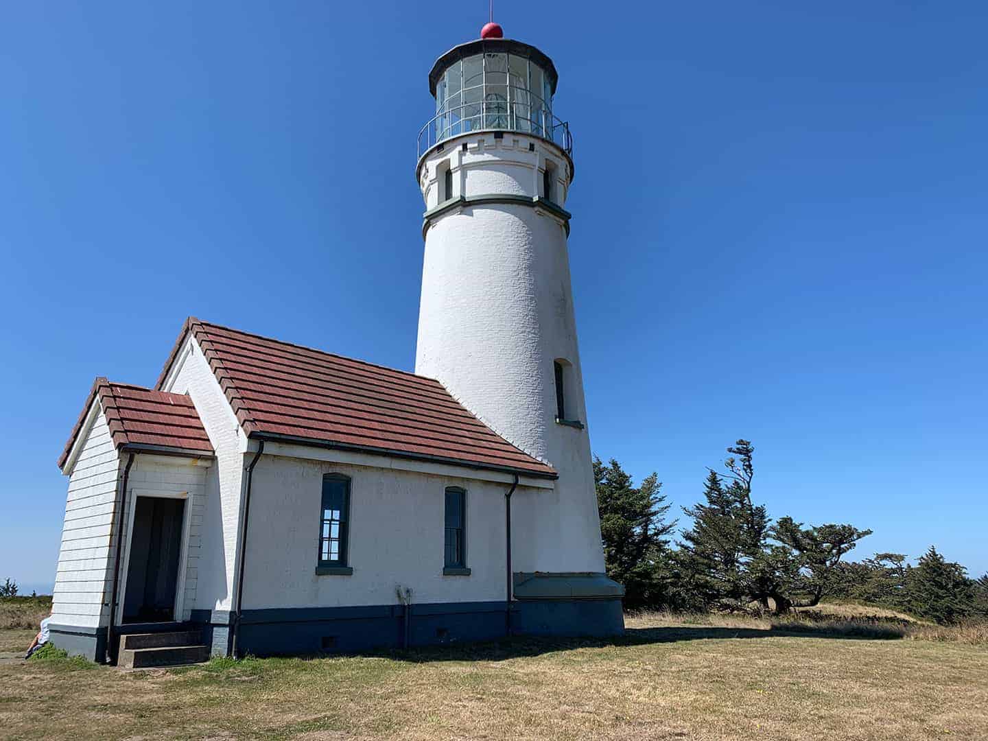 Cape Blanco Lighthouse and keeper's quarters from another angle, with wind-shaped trees nearby