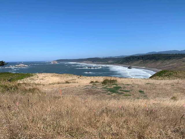 View of the rugged Cape Blanco coastline and cove from the bluff near the lighthouse
