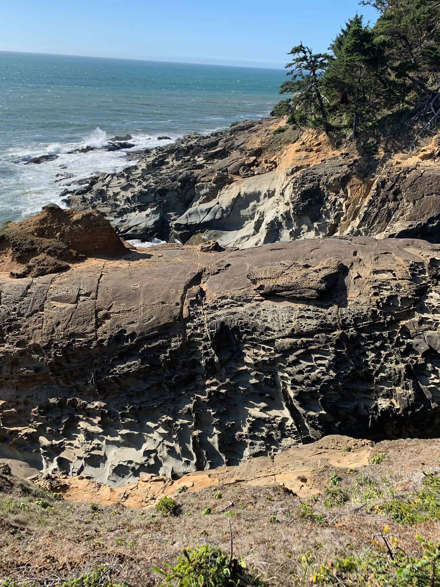 Weathered sandstone cliffs along the shoreline at Cape Sebastian