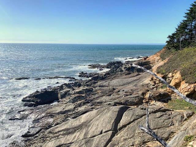 Rocky coastal ledge with driftwood overlooking the ocean