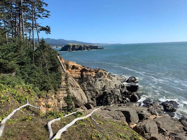 Forested cliffside view of a grassy rock island just offshore