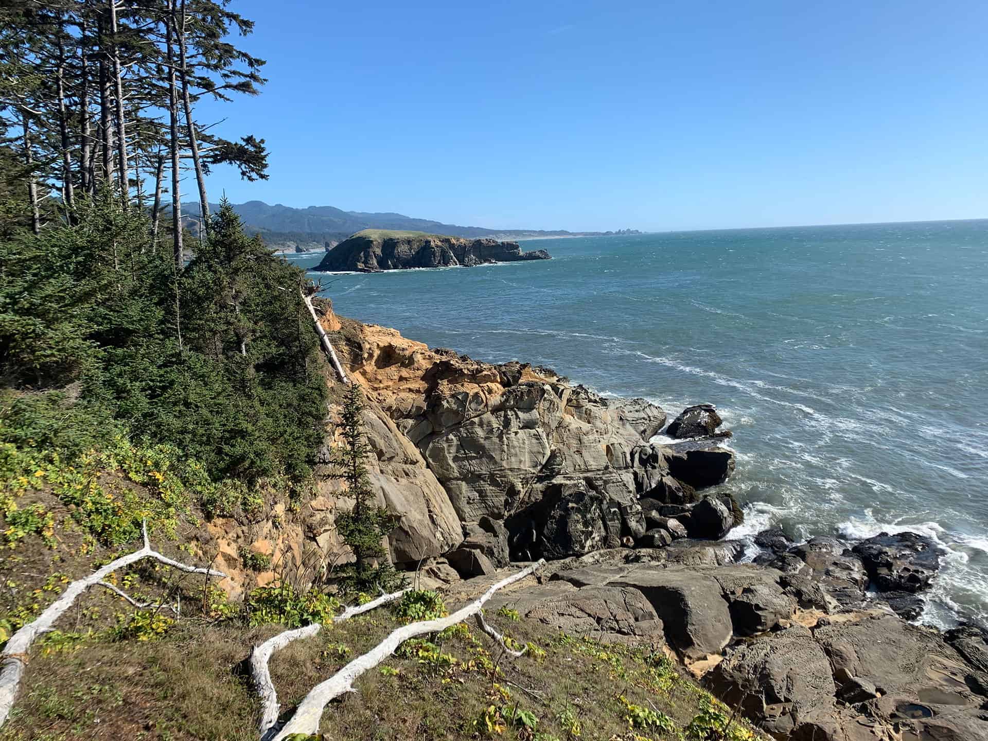 Forested cliffside view of a grassy rock island just offshore