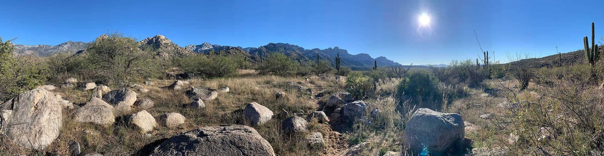 A wide panoramic view of the desert with saguaros, boulders, and the snow-capped Santa Catalina Mountains in the distance