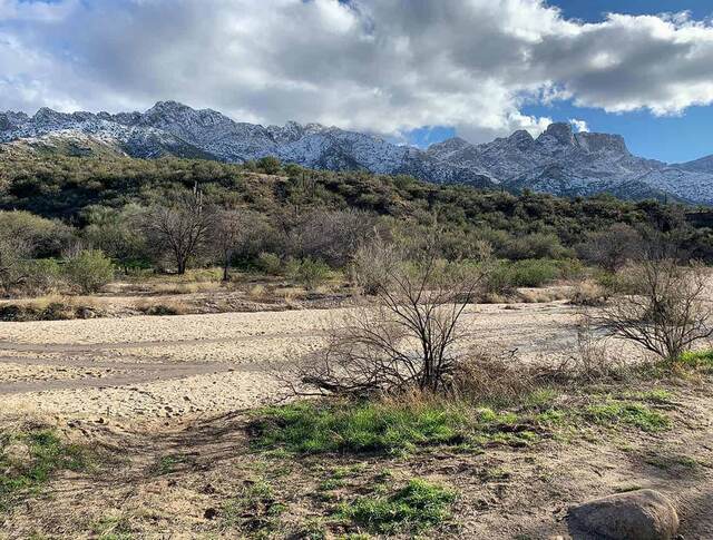 A sandy wash lined with brush, with snow-capped mountains and clouds in the background