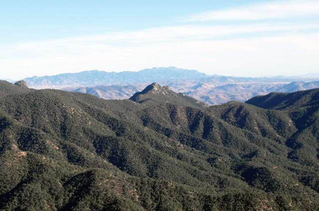 A forested mountain ridge with a rocky peak, distant snow-capped mountains visible on the horizon