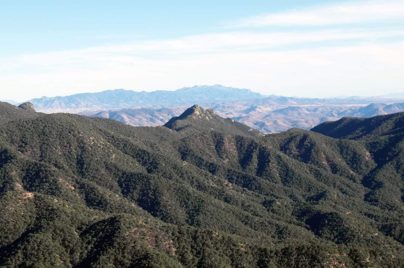 A forested mountain ridge with a rocky peak, distant snow-capped mountains visible on the horizon