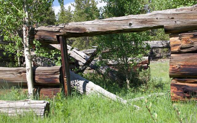 Old cabin at Davis Meadow