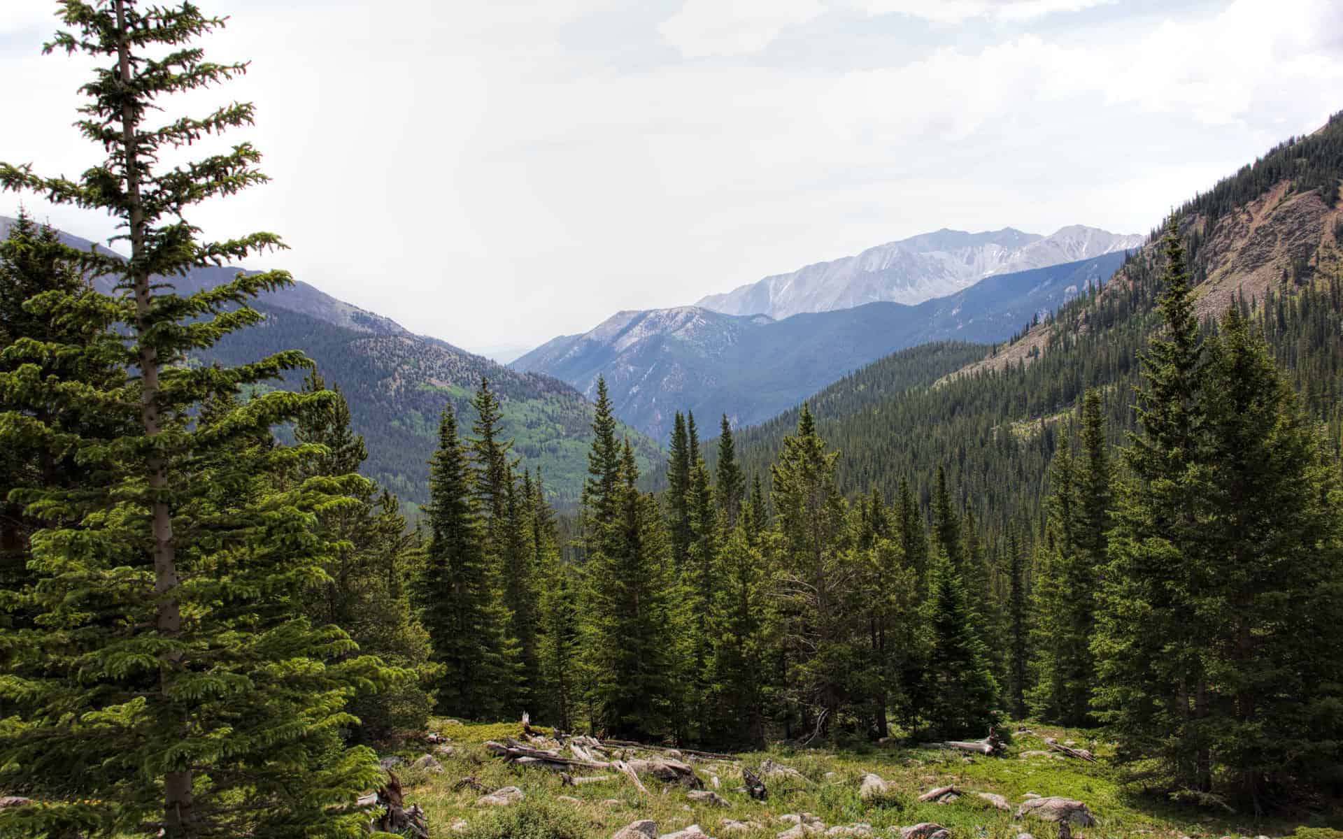 Denny Creek Trail to Hartenstein Lake