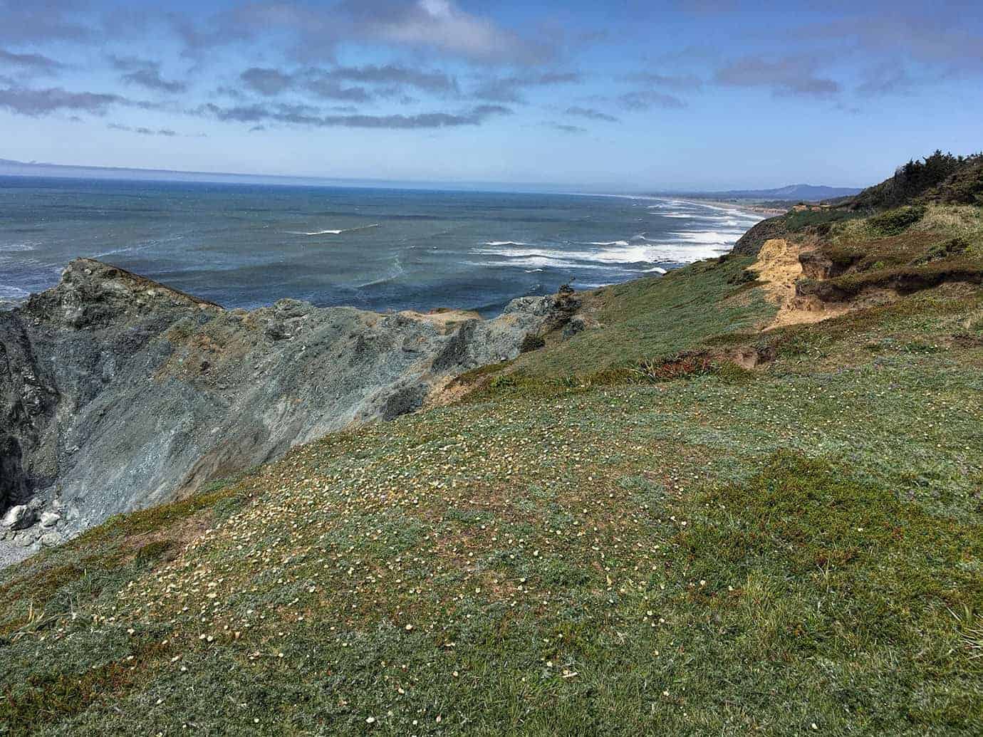 A grassy clifftop with an eroded golden cliff face, overlooking a long sandy beach curving into the distance