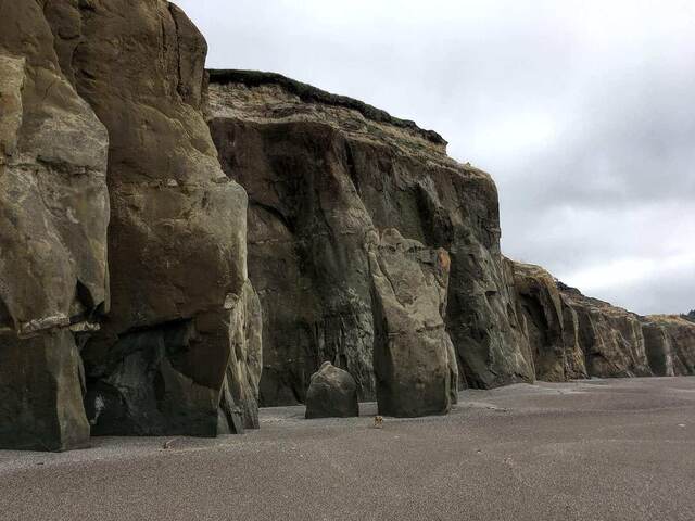 Massive layered sandstone cliff formations and rock spires along the beach, with Teddy standing small at their base