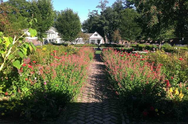 A brick path through the King's Garden lined with blooming red and yellow flowers