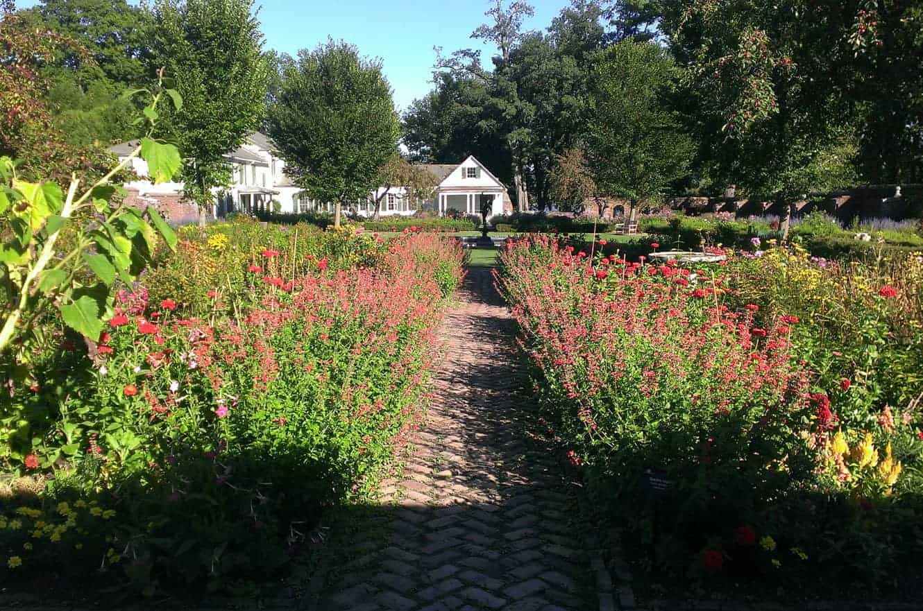 A brick path through the King's Garden lined with blooming red and yellow flowers
