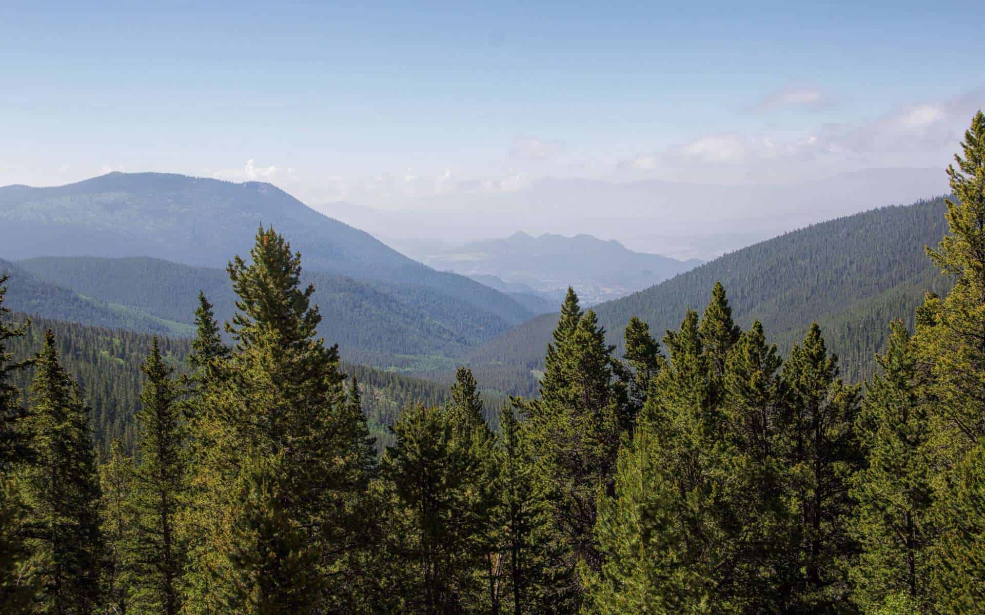 Buffalo Peaks Wilderness