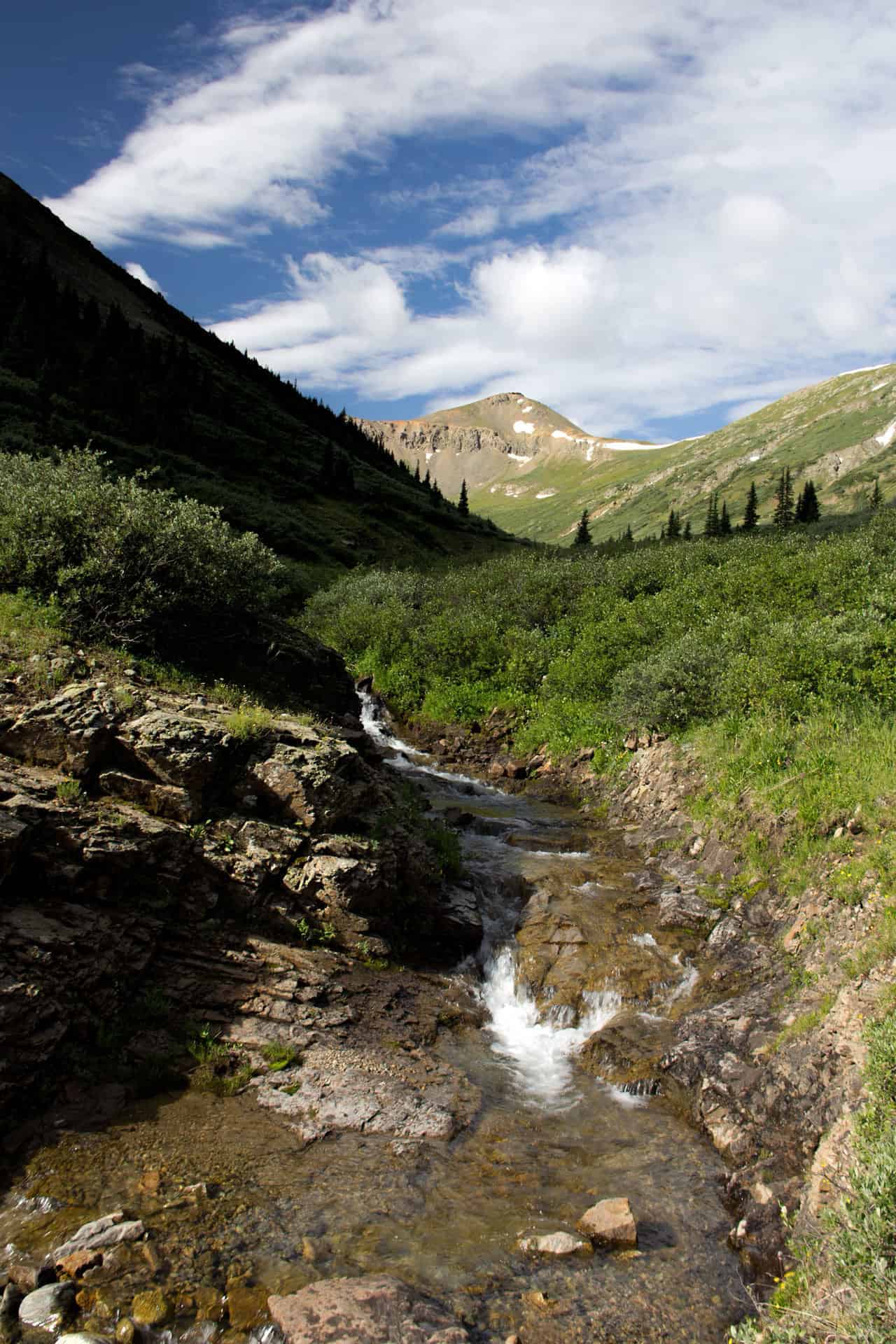 A small stream cutting through a rocky, wildflower-lined channel in a green alpine basin, with a rugged peak beyond