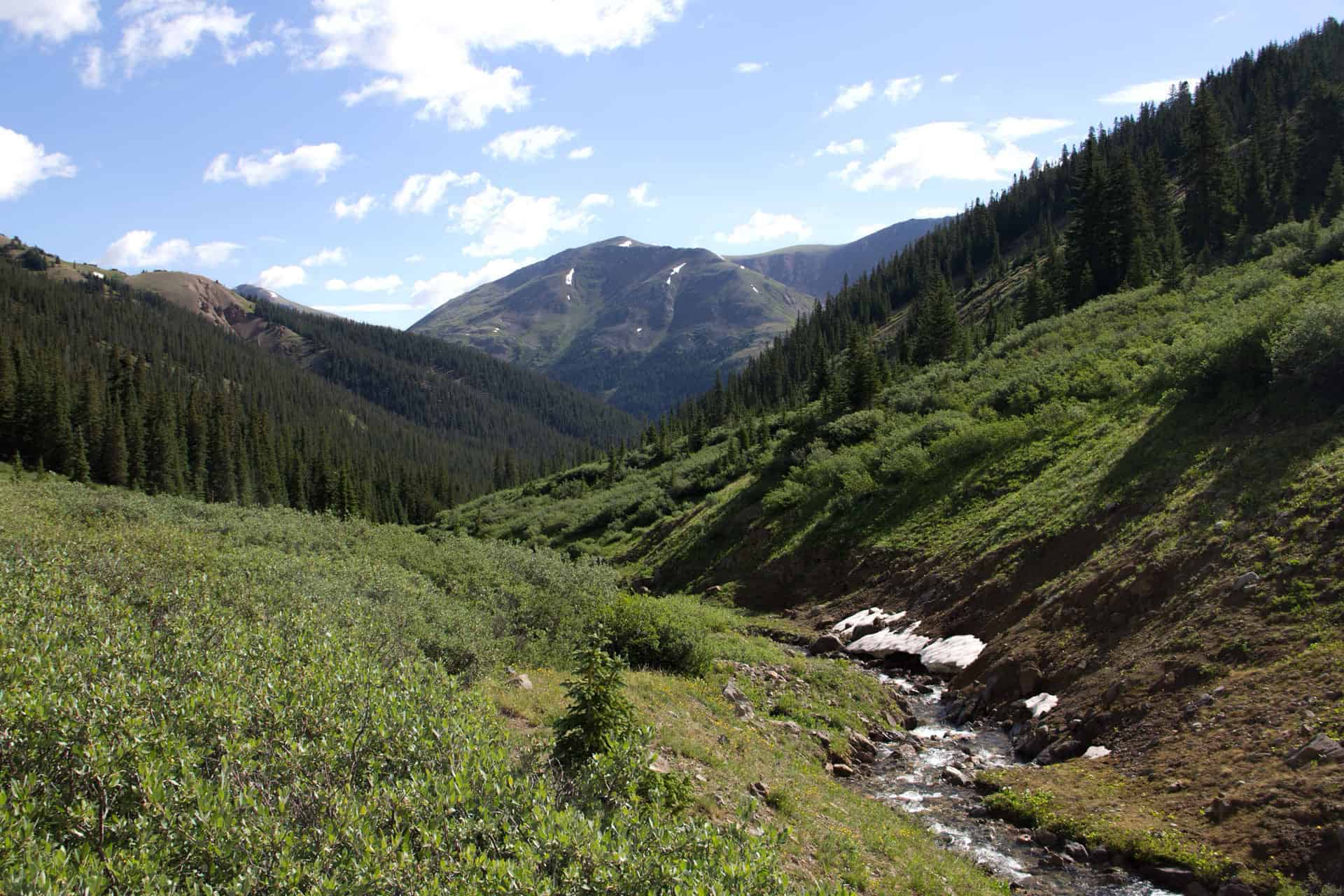 A wide green valley with a forested slope on one side and a stream winding through a wildflower meadow below distant peaks