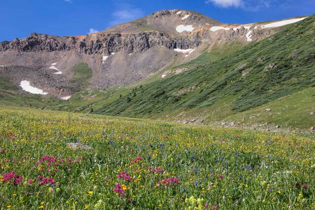Graham Gulch Trail, Twin Lakes CO