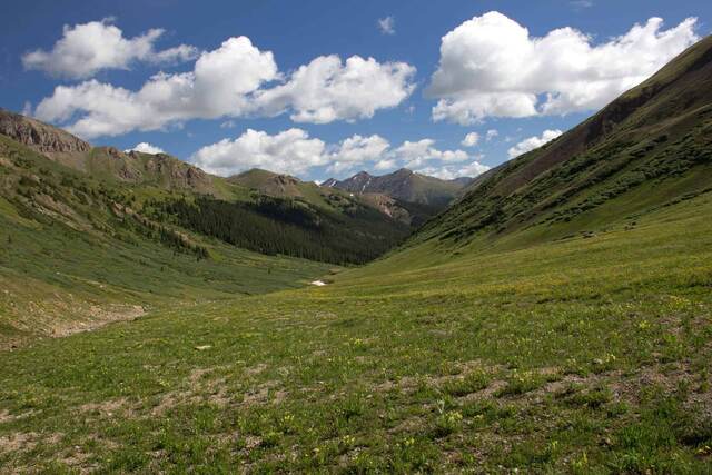 A green alpine valley framed by forested and rocky peaks, with a patch of snow beside a small stream below