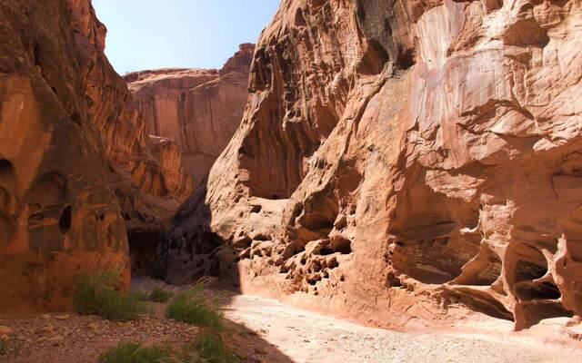 Little Death Hollow