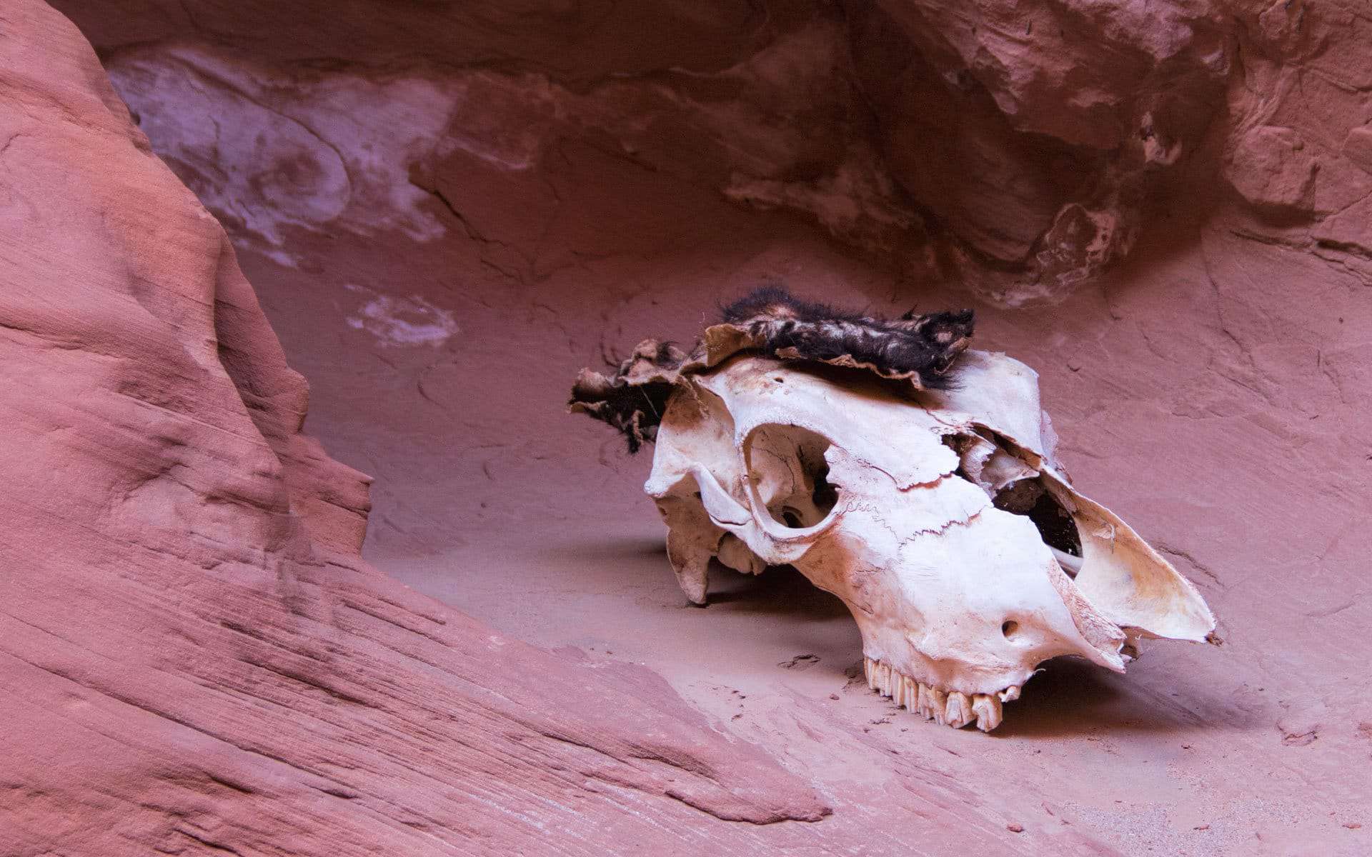 Humor in Little Death Hollow Slot Canyon