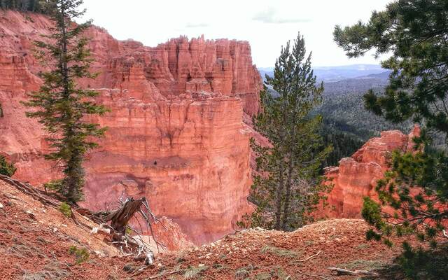 Grandview Trail #66