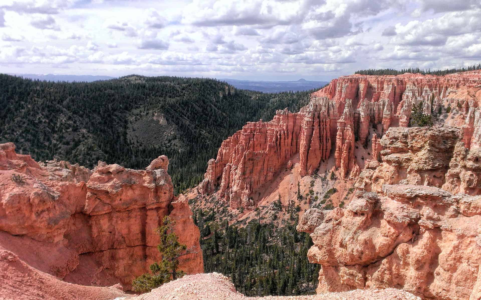 Grandview Trail in Dixie National Forest