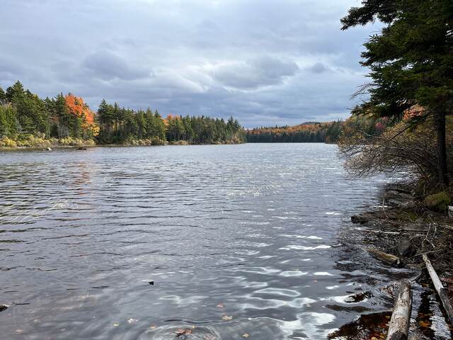 A calm lake bordered by evergreens and early fall color under a cloudy sky