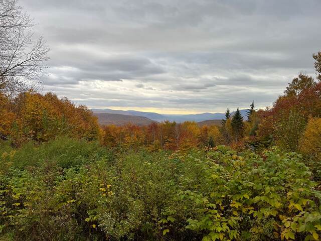 A hillside of fall foliage with mountains fading into the distance under overcast skies