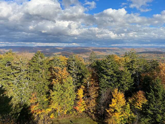 A forested valley in fall color, seen from a high overlook under a partly cloudy sky