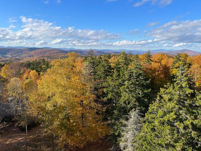 Layers of fall-colored forest stretching toward distant mountains
