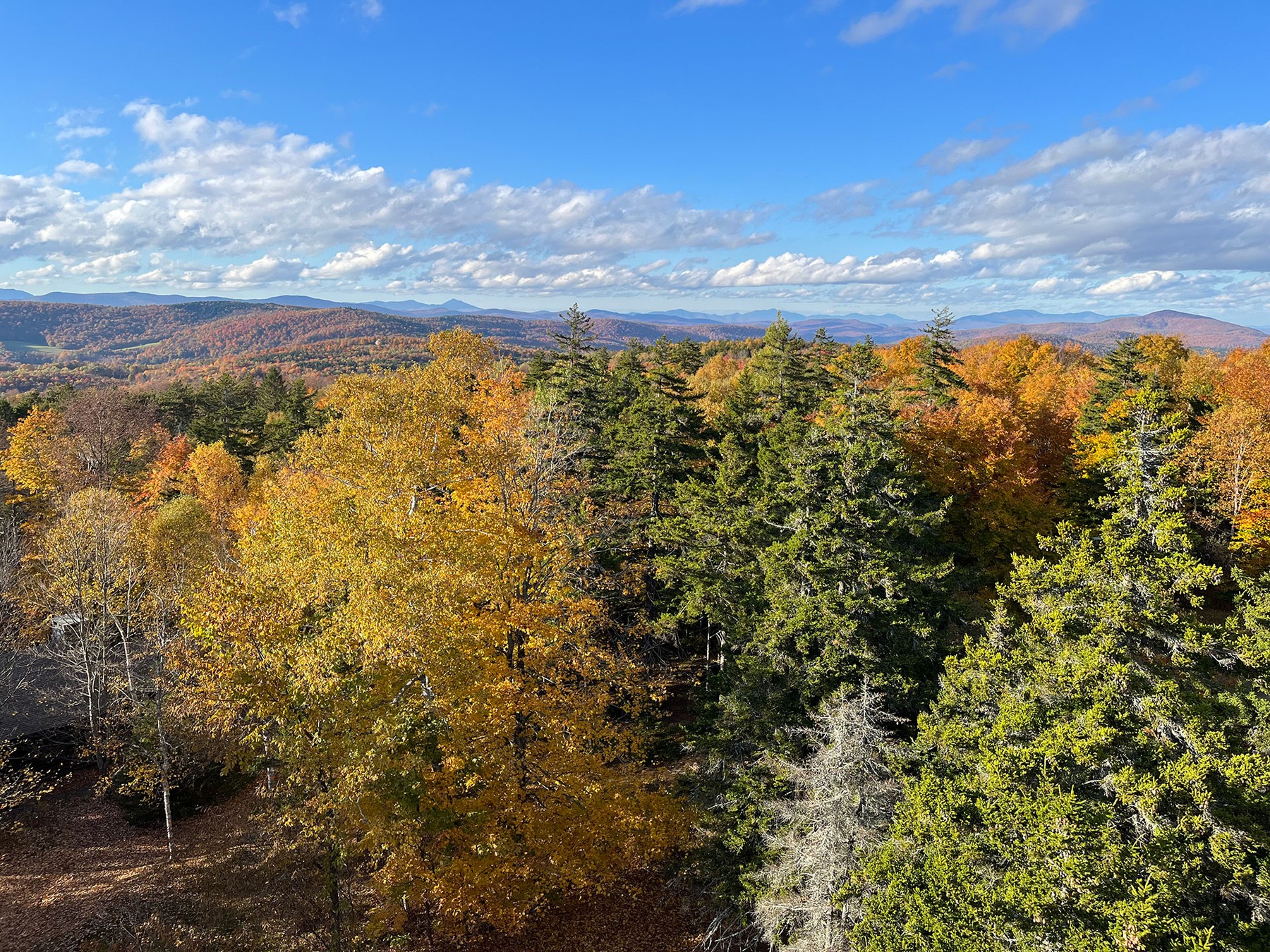 Layers of fall-colored forest stretching toward distant mountains