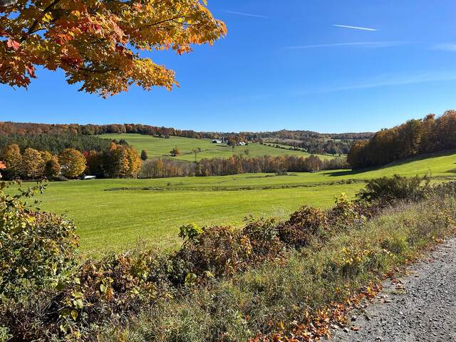 A green valley with a distant farm, framed by a fall-colored maple branch