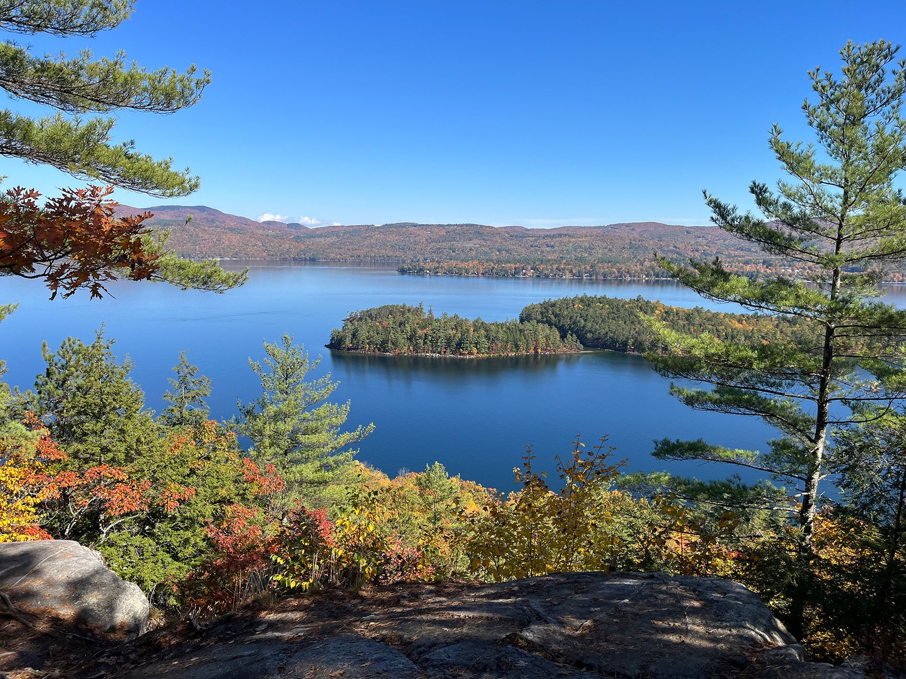 A lake with a forested island, framed by pine branches from a rocky overlook
