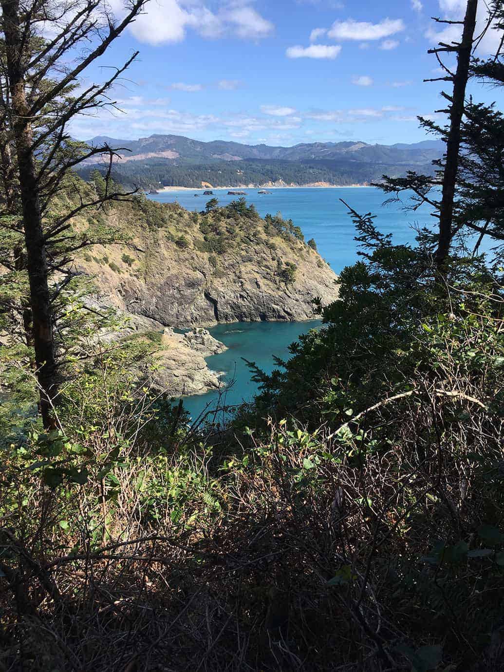 A view through pine branches down to a turquoise cove framed by forested cliffs, with mountains and coastline in the distance