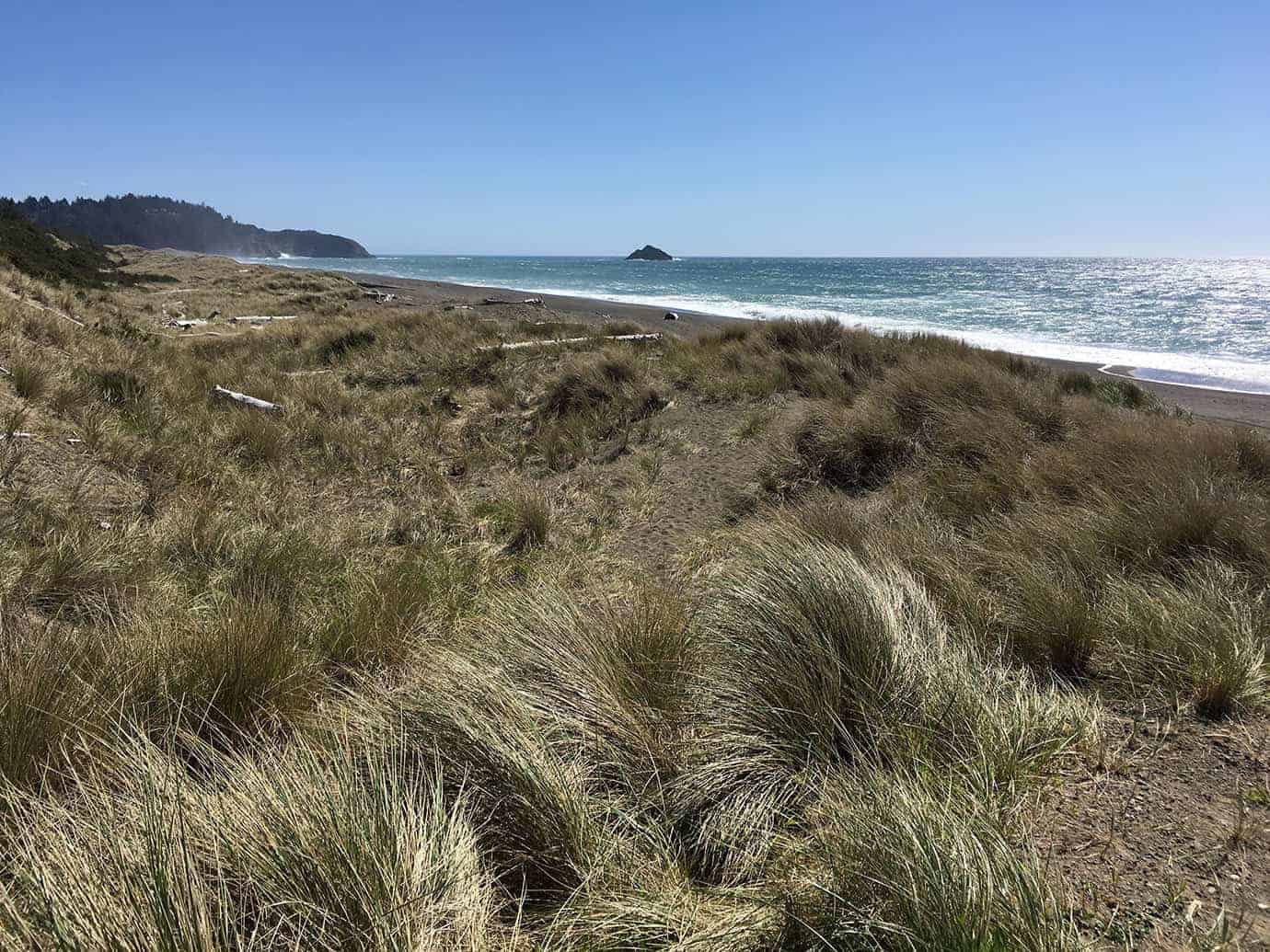 A grassy dune trail overlooking a sandy beach, with a small offshore rock and the ocean stretching to the horizon