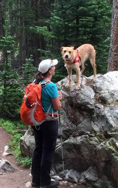 A hiker with an orange backpack and trekking pole standing beside Teddy, who is perched on top of a large trailside boulder with his leash trailing down