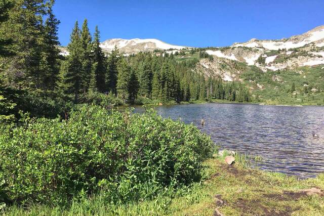 Kroenke Lake with a duck swimming near a weathered log, forested shoreline, and a snow-streaked peak in the background