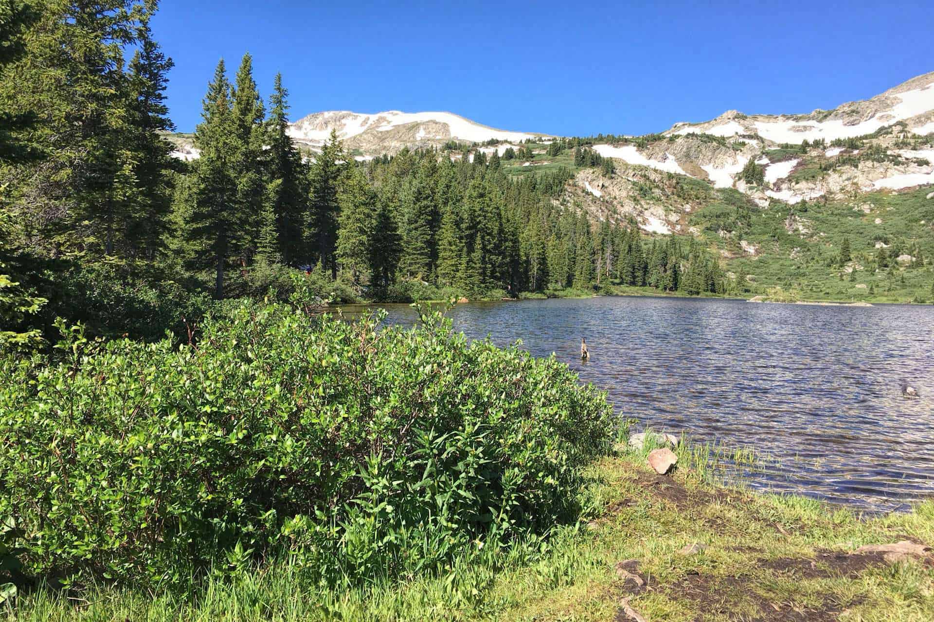 Kroenke Lake with a duck swimming near a weathered log, forested shoreline, and a snow-streaked peak in the background
