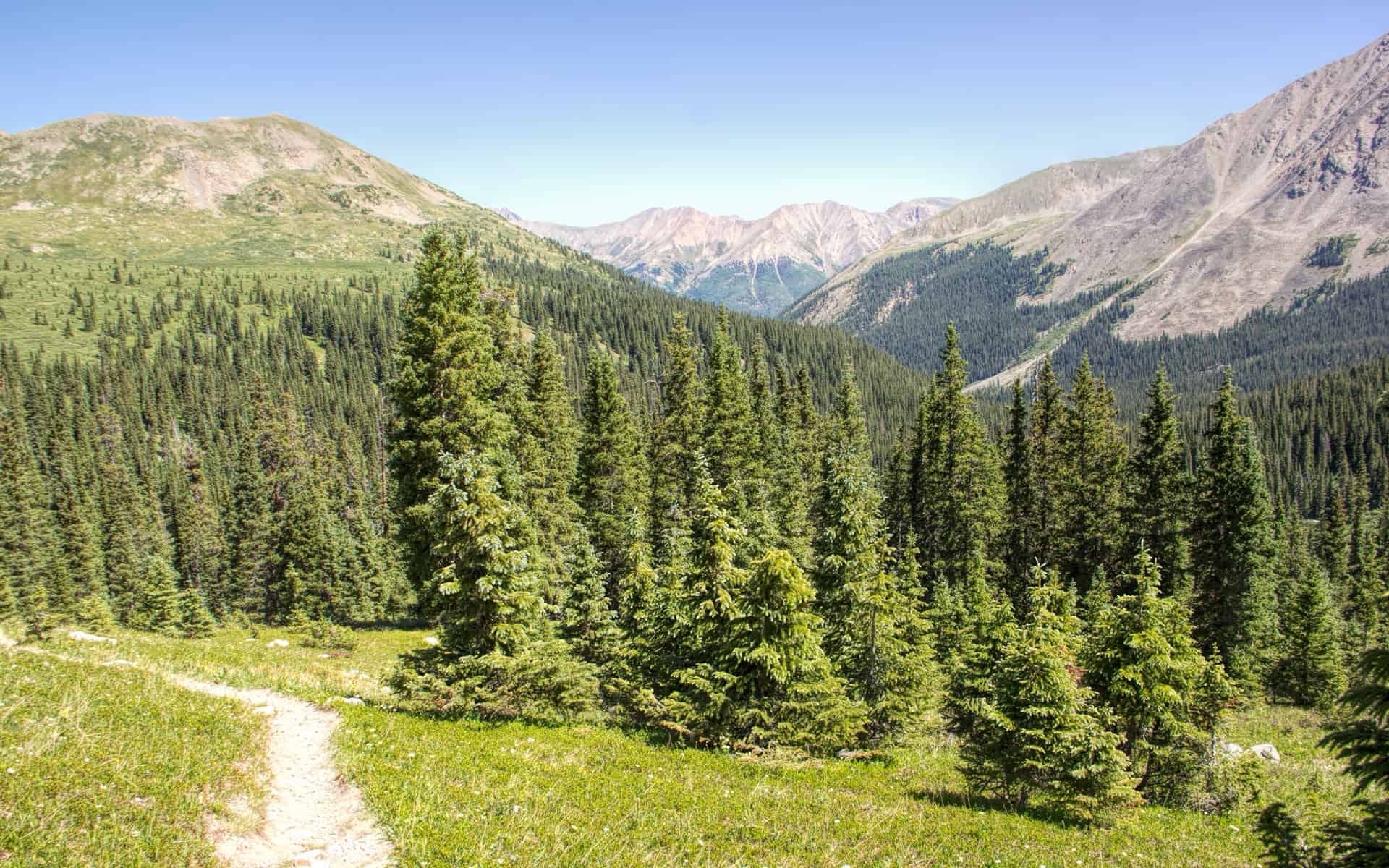 Trail to Lake Ann, WInfield CO
