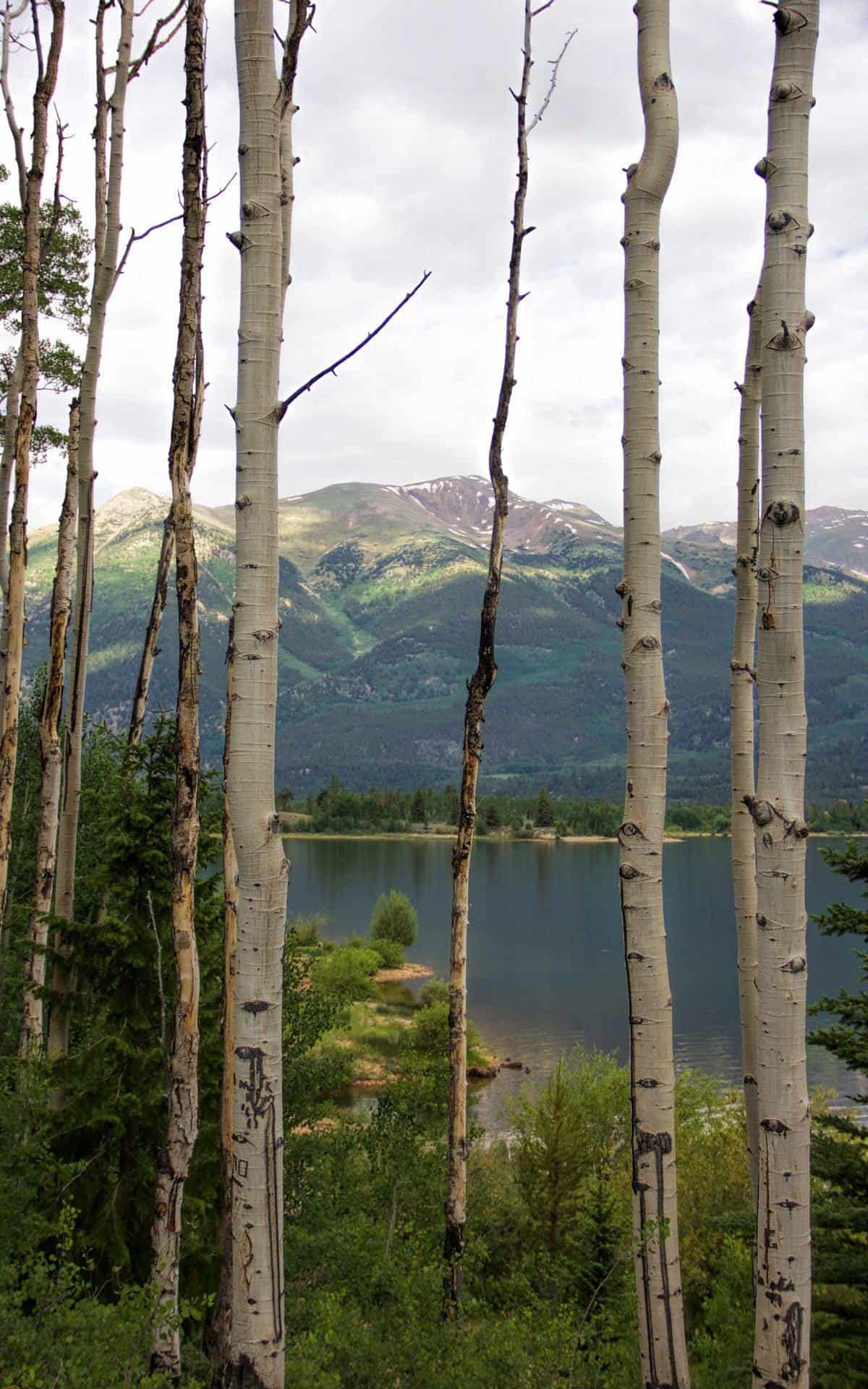 Lakeside to Interlaken and Twin Lakes