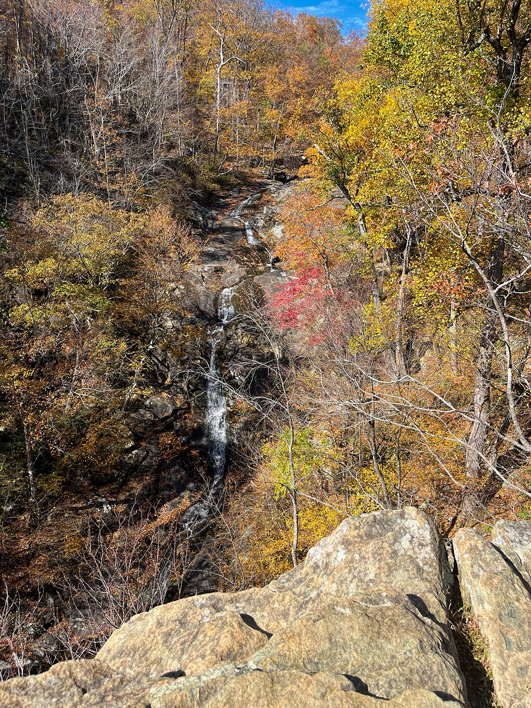 A waterfall seen from a cliffside overlook, surrounded by fall color