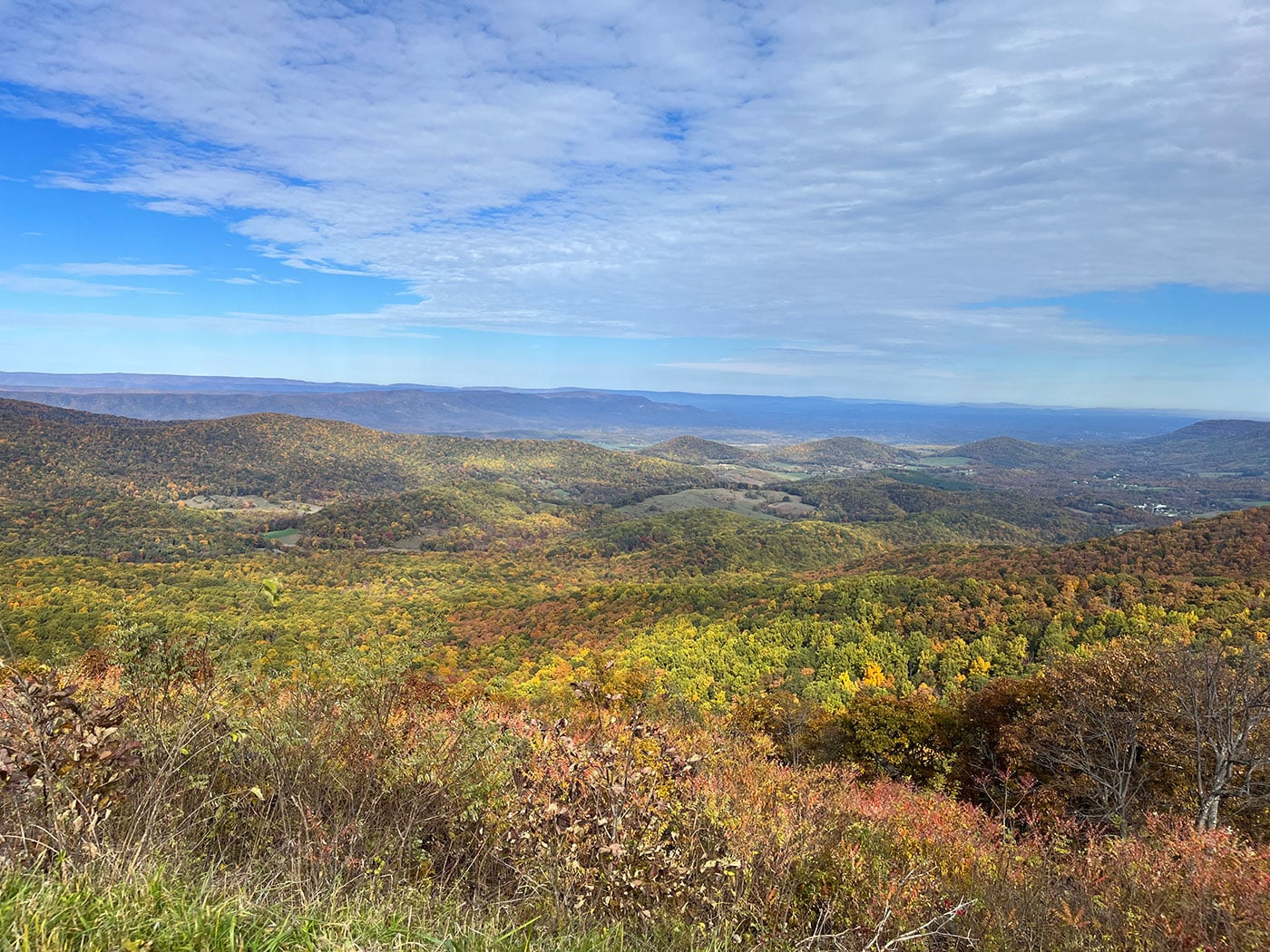 A panoramic mountain valley view with fall foliage below